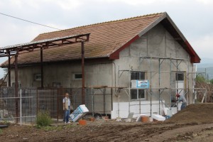 adapost-caini-comunitari-Alba-Iulia