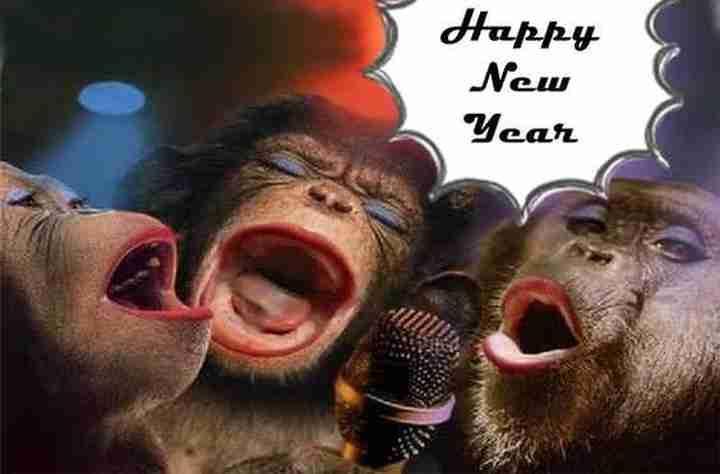 Mesaje De Anul Nou 2019 Haioase Urari și Felicitari Amuzante Pe